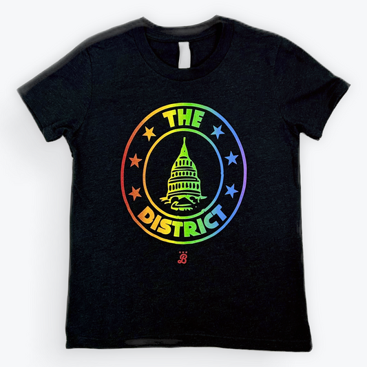 Youth The District Seal - Rainbow Pride T-shirt