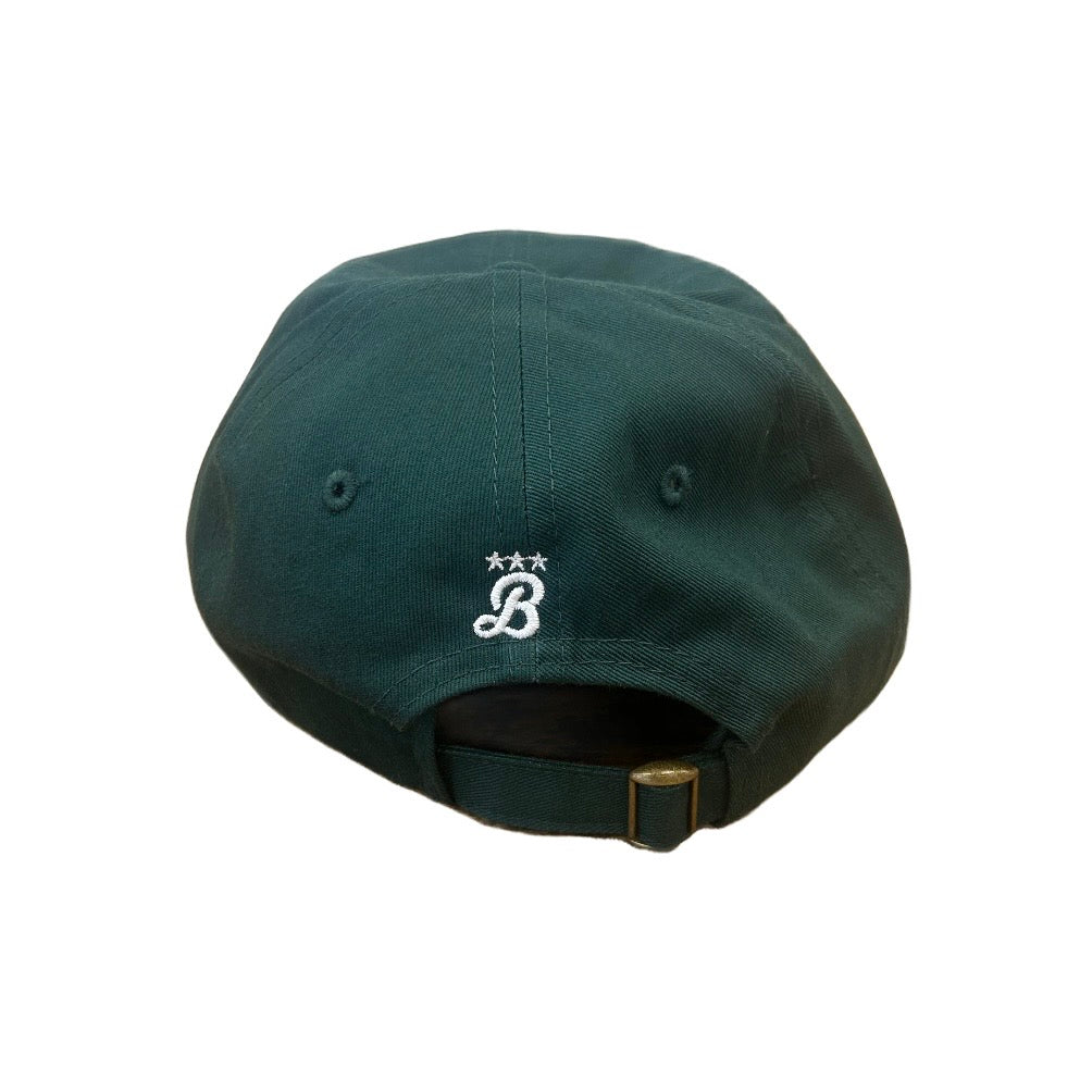 DC State Fair - Official Logo Classic Dad hat