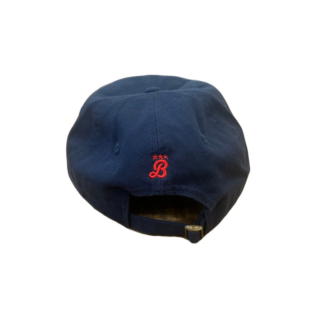 DC State Fair - Official Logo Classic Dad hat